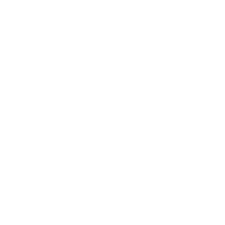 toyota (1)